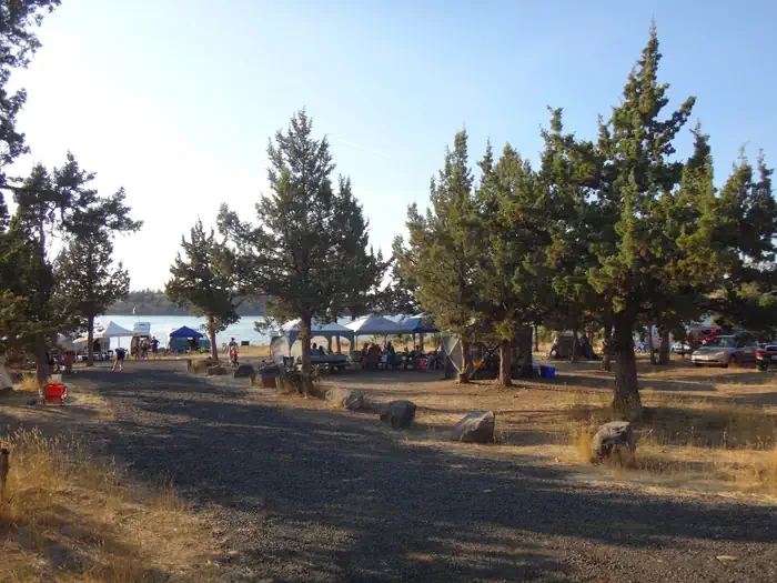Willow Group Site