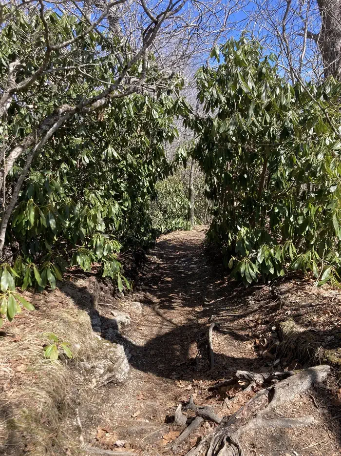 Whiteside Mountain