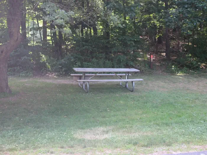 N22
