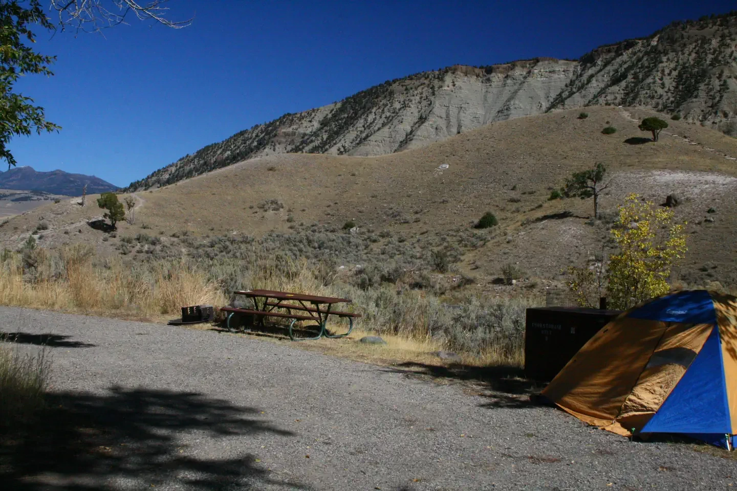 Mammoth site #8