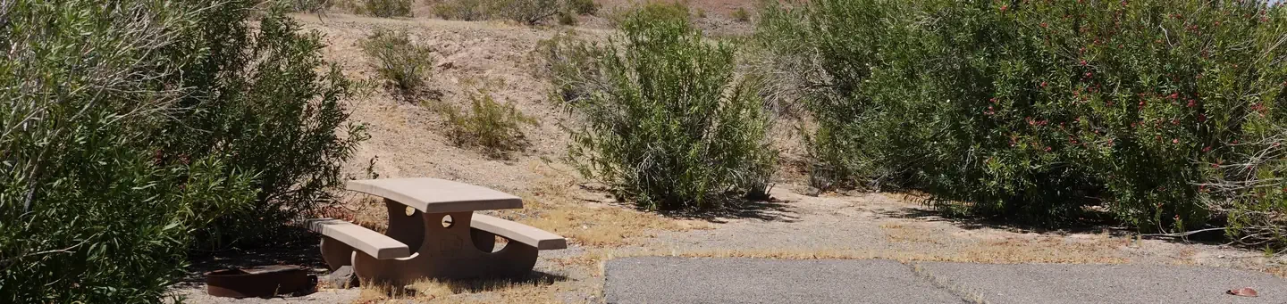 Site 18