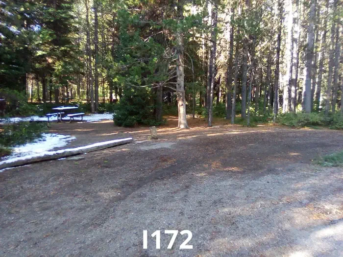 172