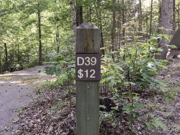 39