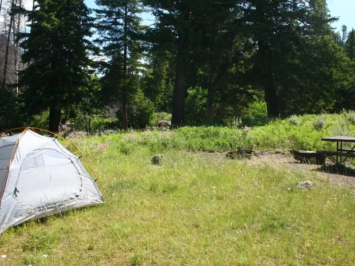 Slough Creek site #4