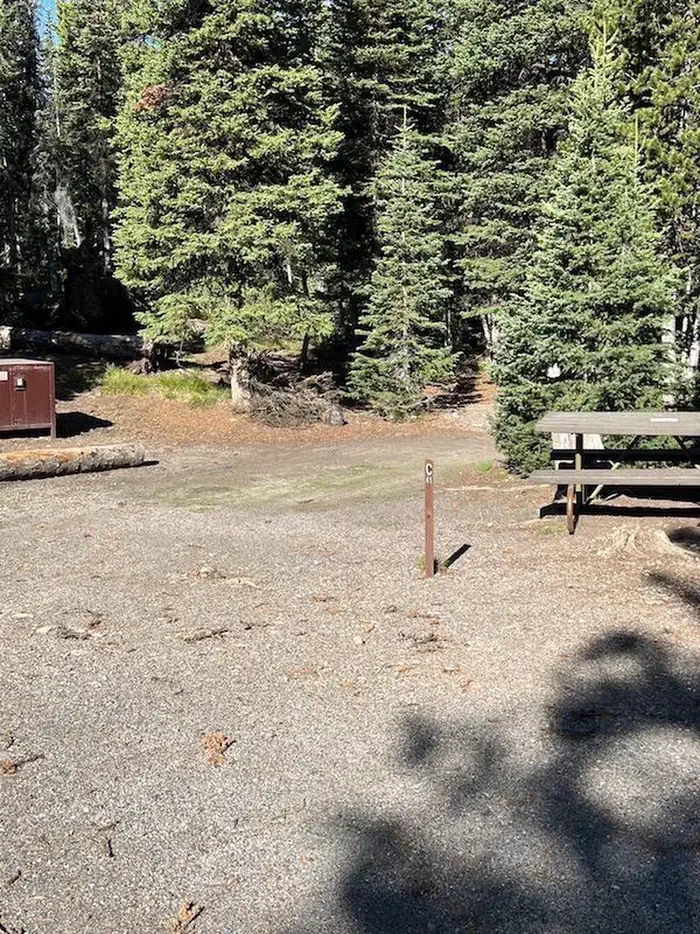 Lewis Lake site #41