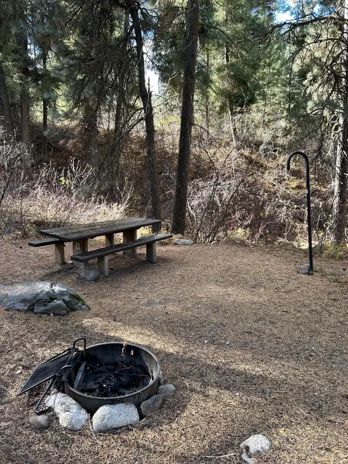 Hayfork Group Cg