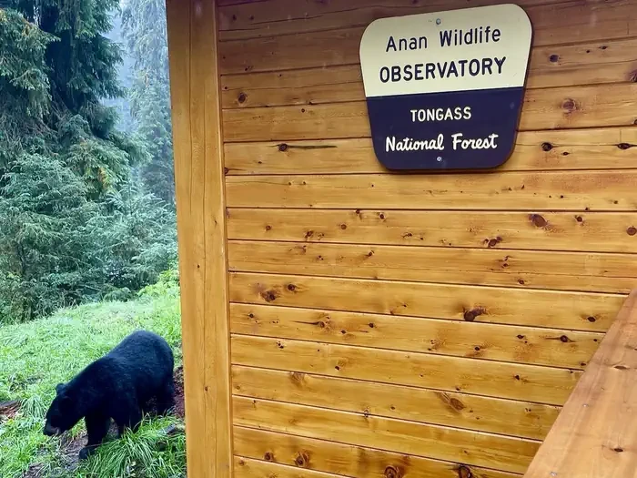 Anan Wildlife Observatory Permits