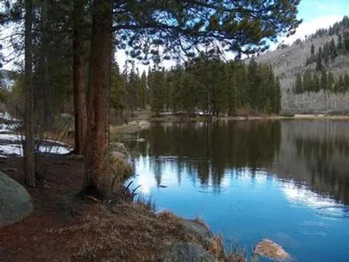 Chapman Campground and Group