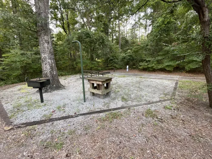 101
