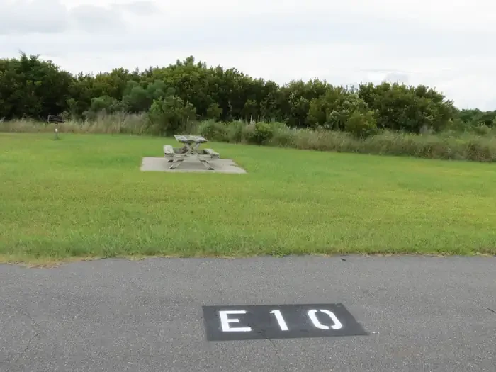 E010