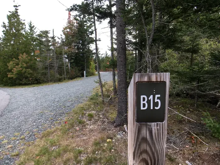 B15