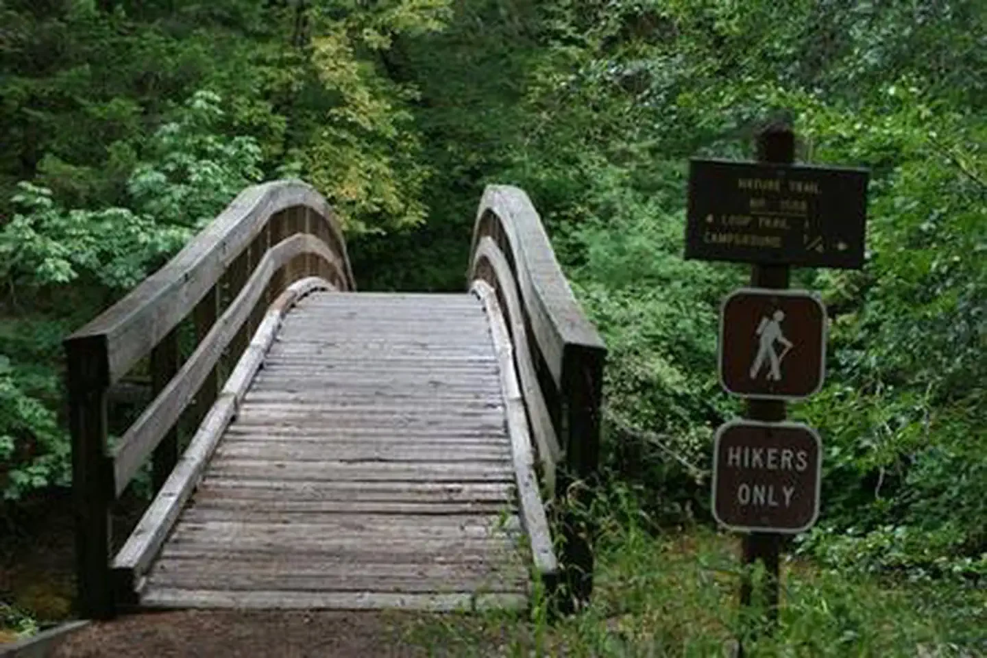 Wolf Creek Group Site