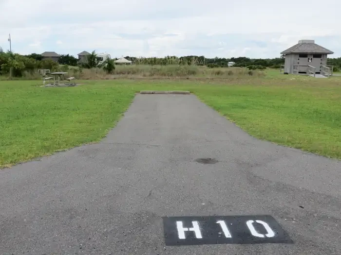 H010