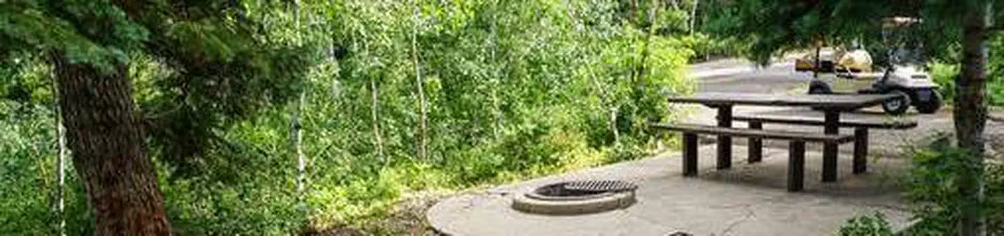 B37
