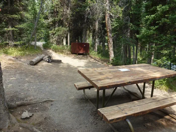 Lewis Lake site #70