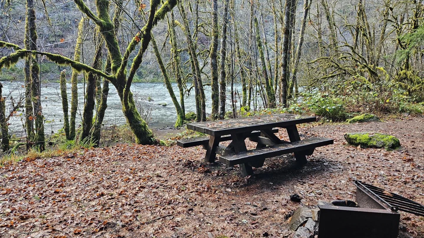 Island Campground