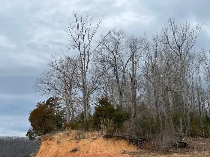 Pedigo Point - Site 14
