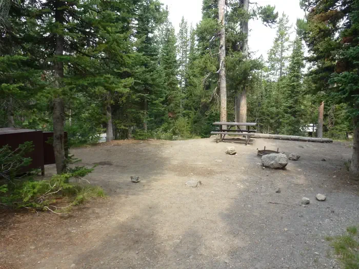 Lewis Lake site #31