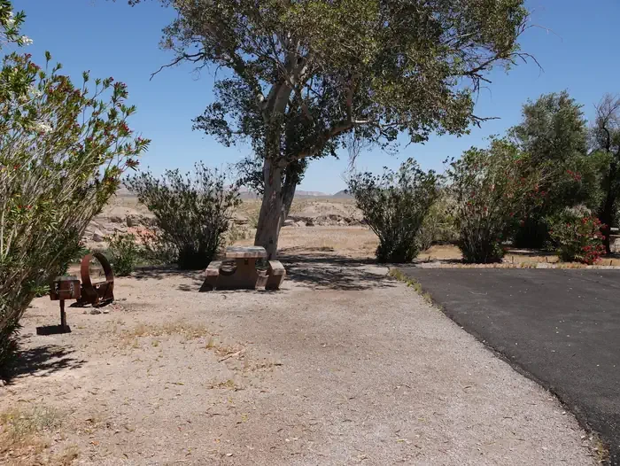 Site 46