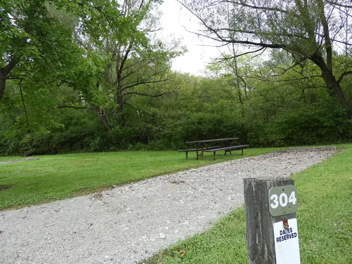 304