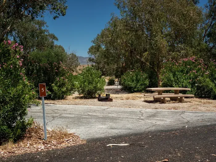 Site 5