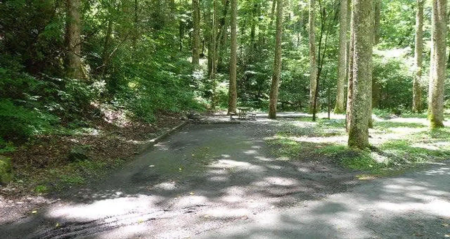 H11