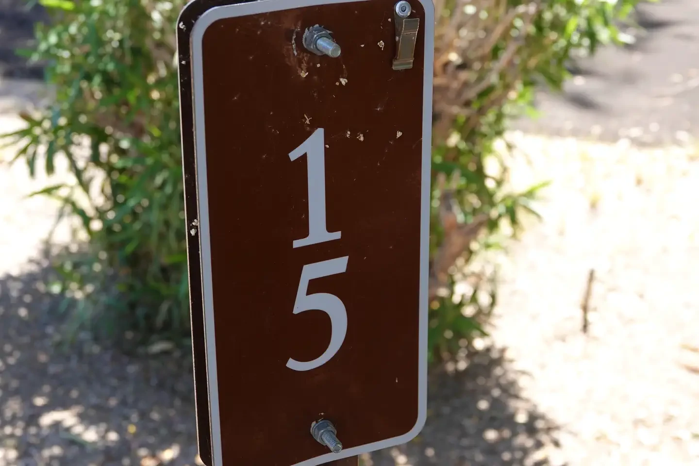 Site 15