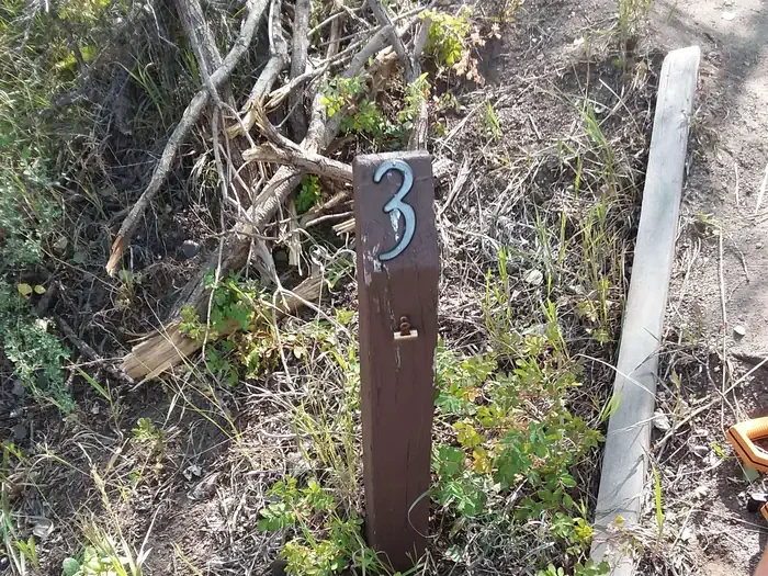 003