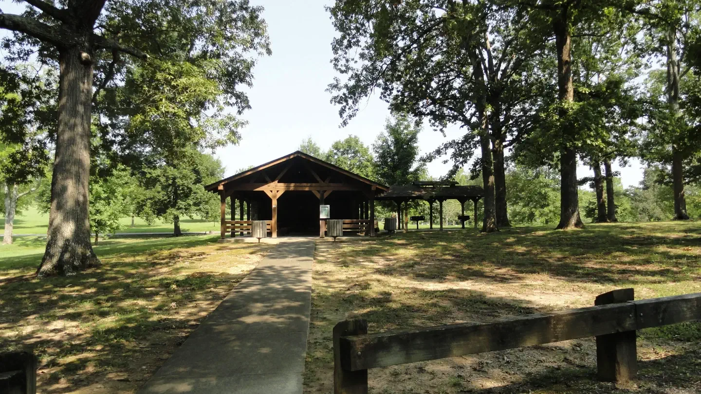 L1-Large Picnic Shelter