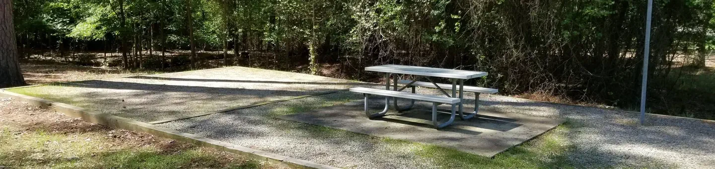 T101