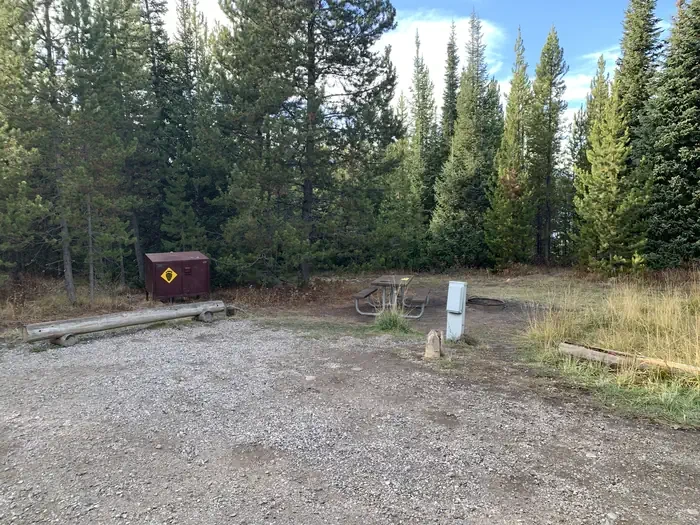 36