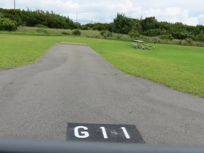 G011
