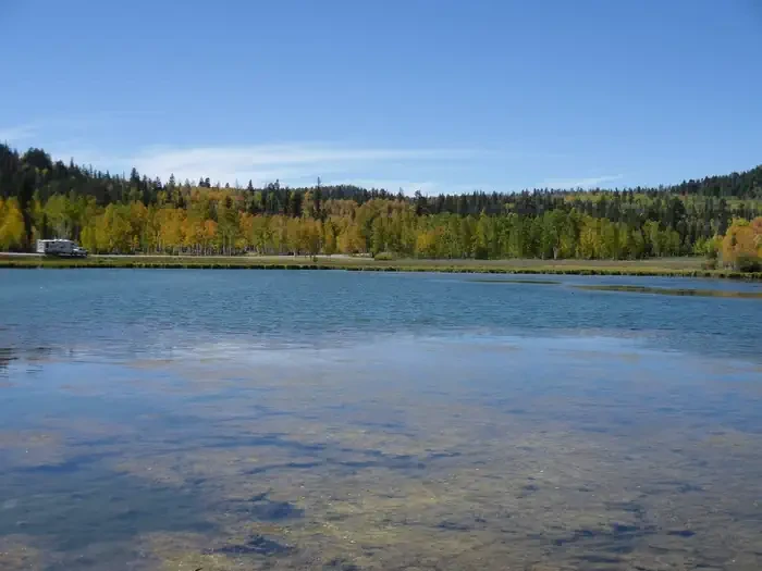 Duck Creek