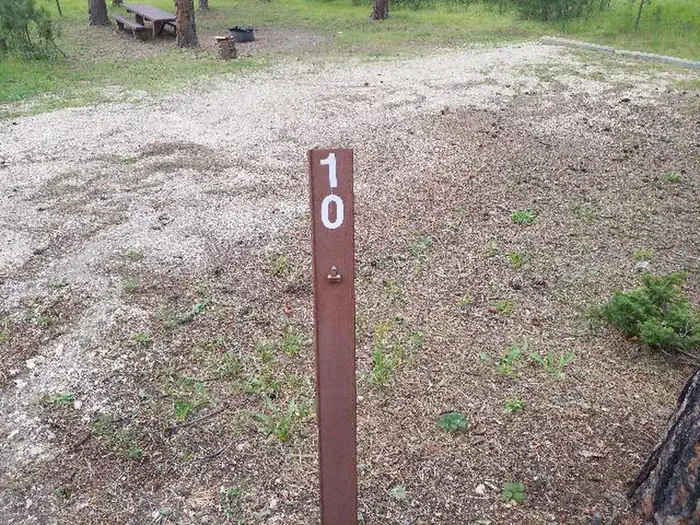 010