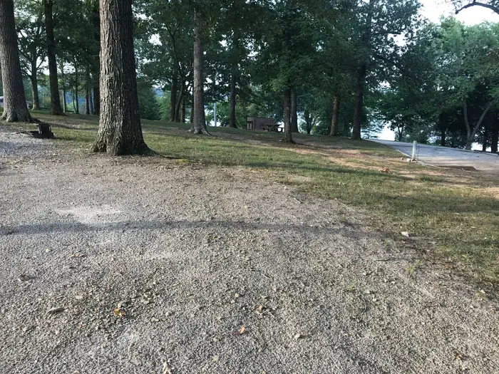 80