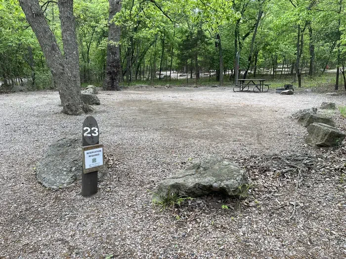 23