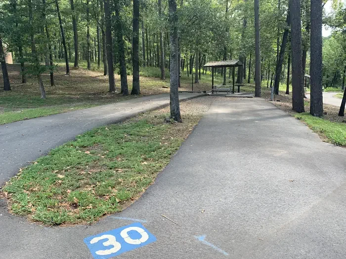 30