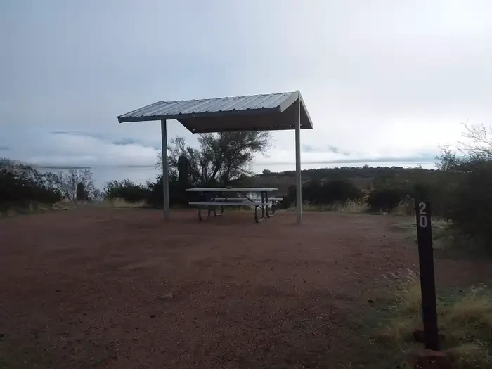 20