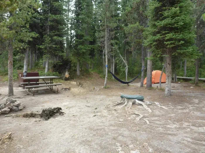 Lewis Lake site #16