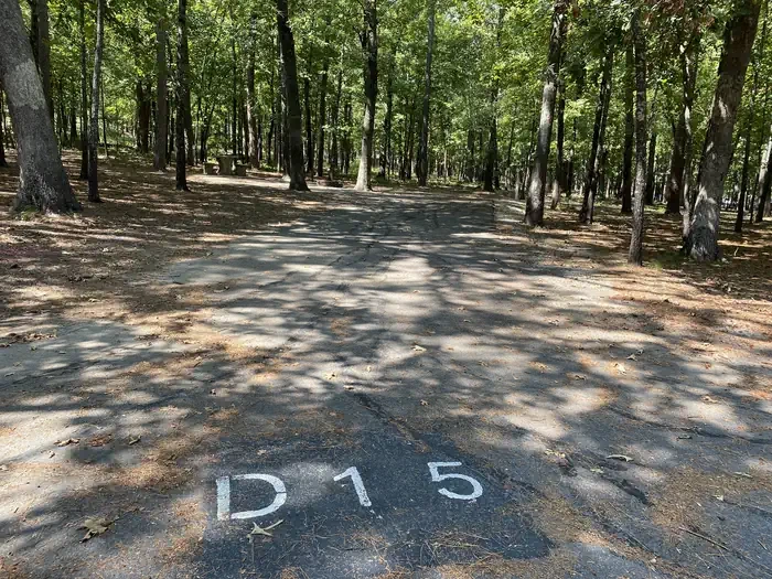 D15