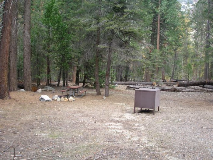 Site: 65