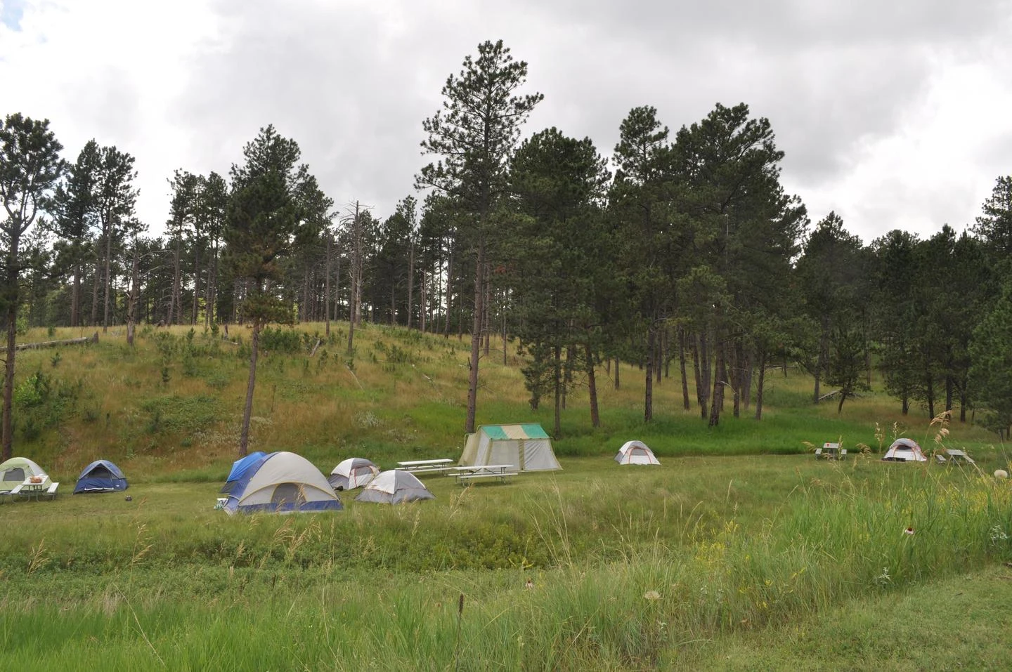 Elk Mountain Campground