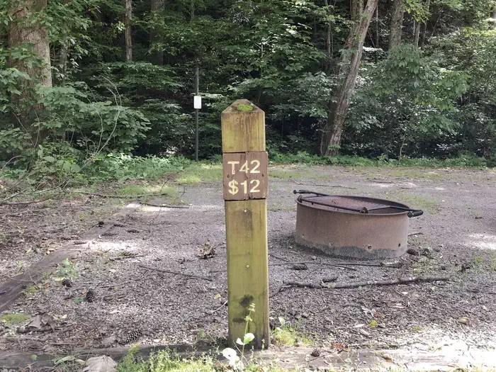 042