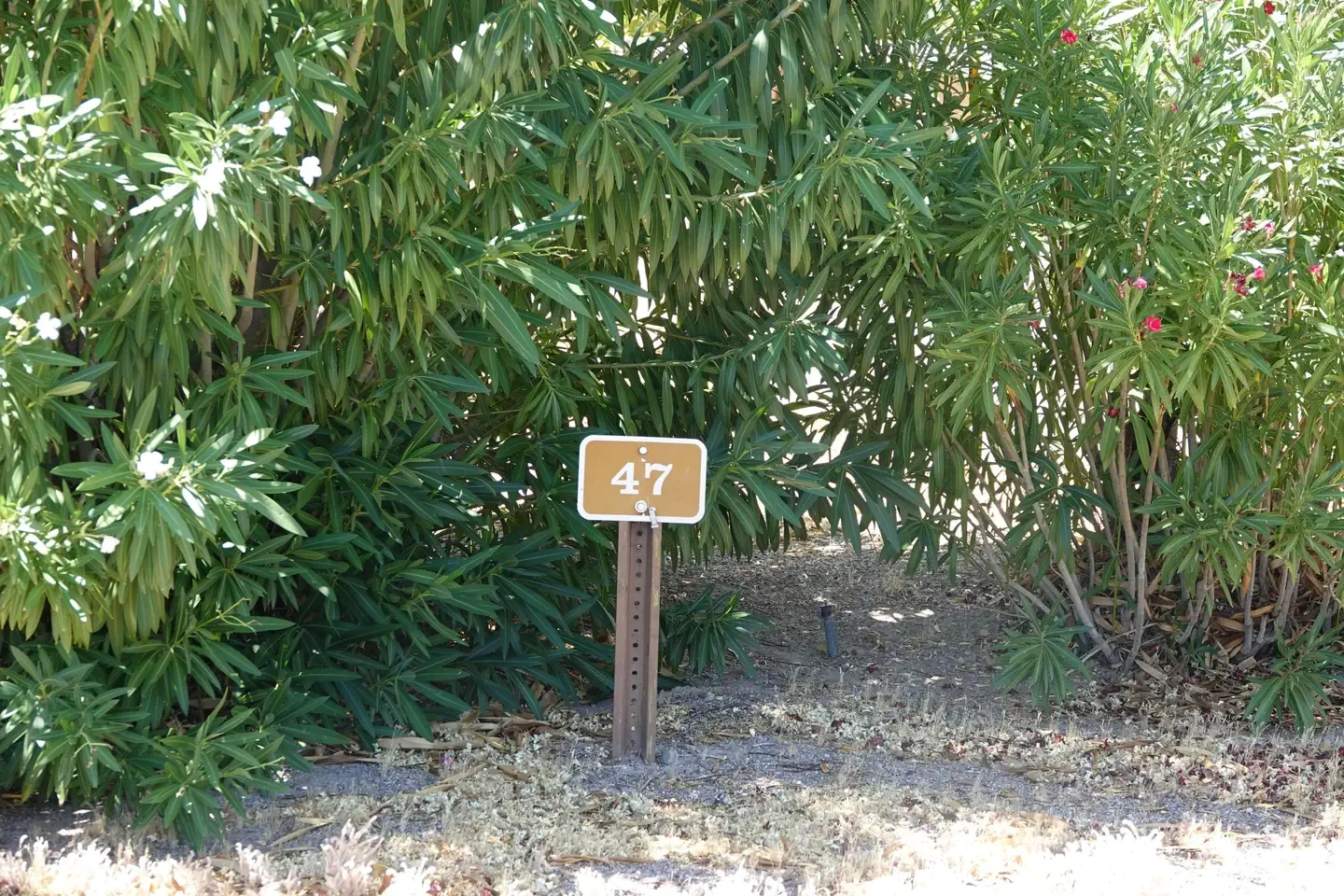 Site 47