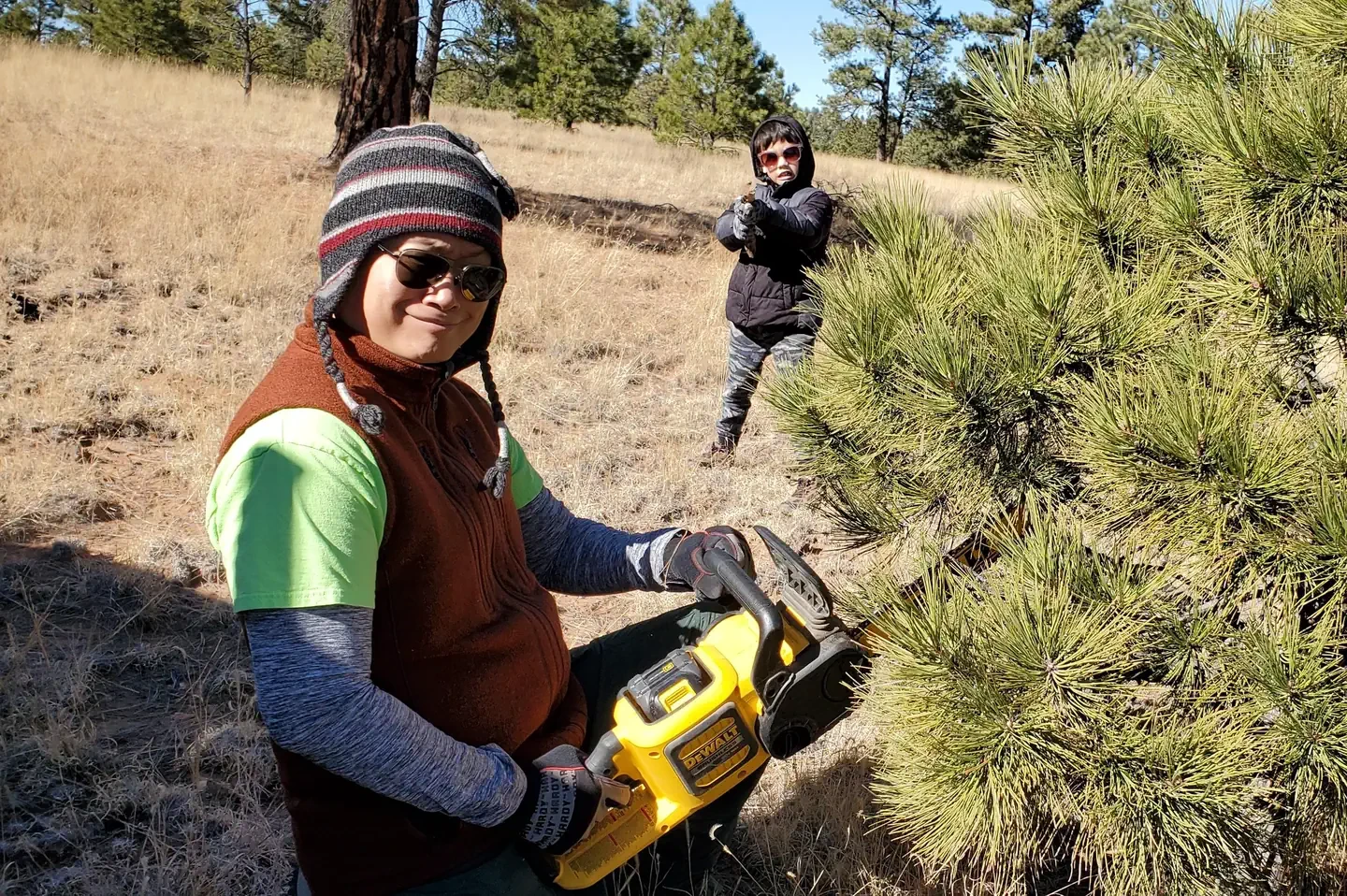 Gila National Forest Christmas Tree Permit