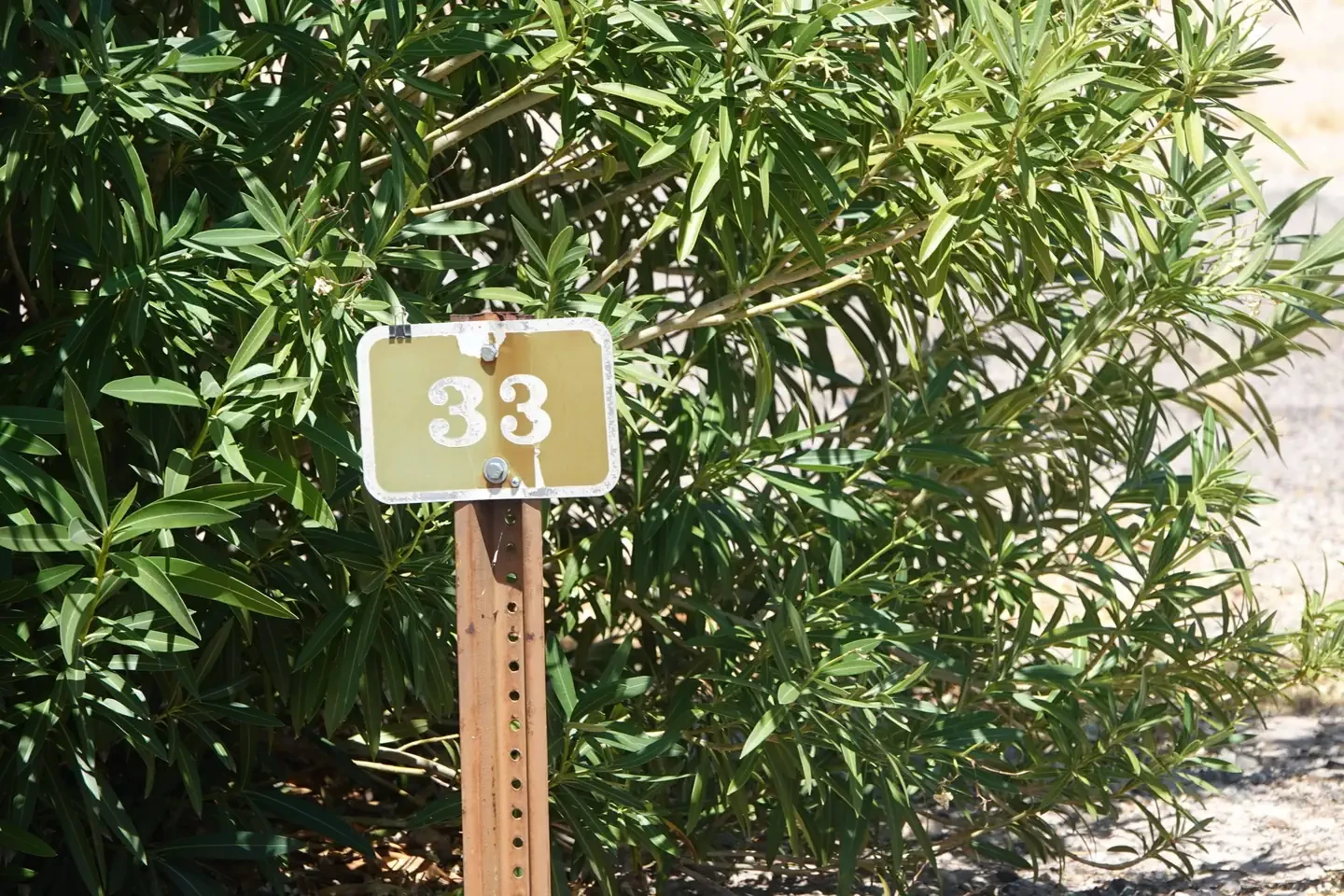 Site 33