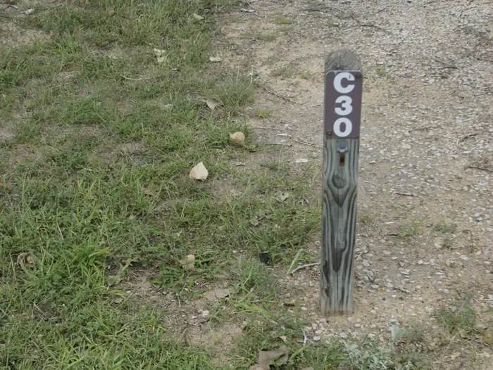 C30