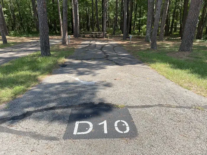 D10