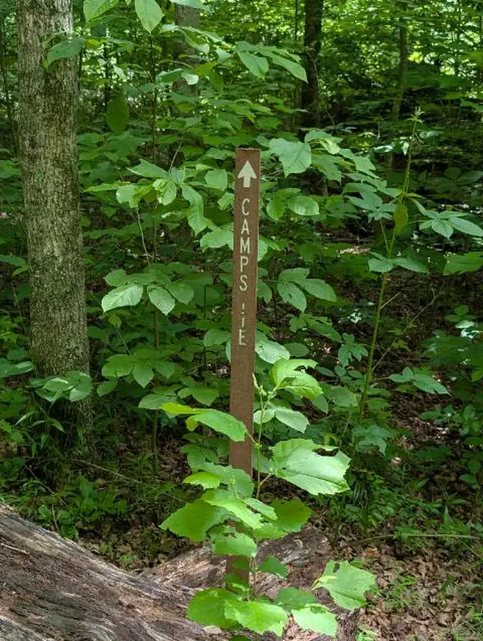 Raymer Hollow