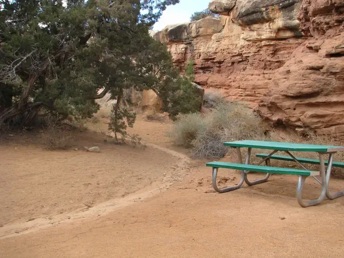 Canyonlands National Park Needles District GROUP Campsites